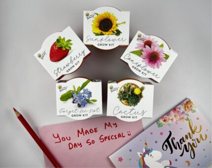 Buzzy Seeds Grow your Own Kit+ TY Card